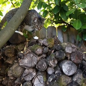 Meet your Posher, Terri